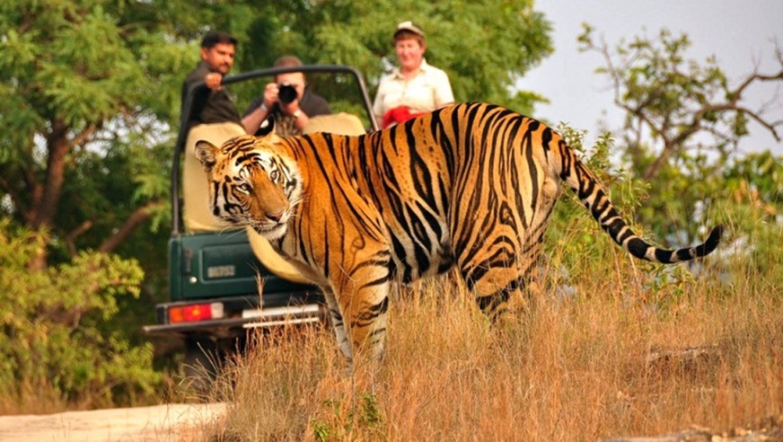 Jim Corbett With Nainital Tour