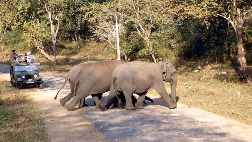 Jim Corbett Tour