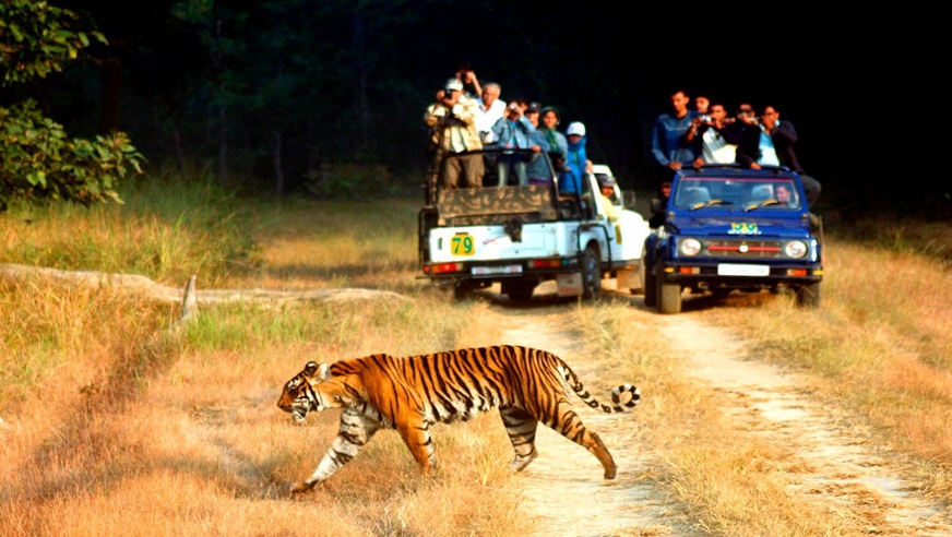 Delhi Jim Corbett Tour