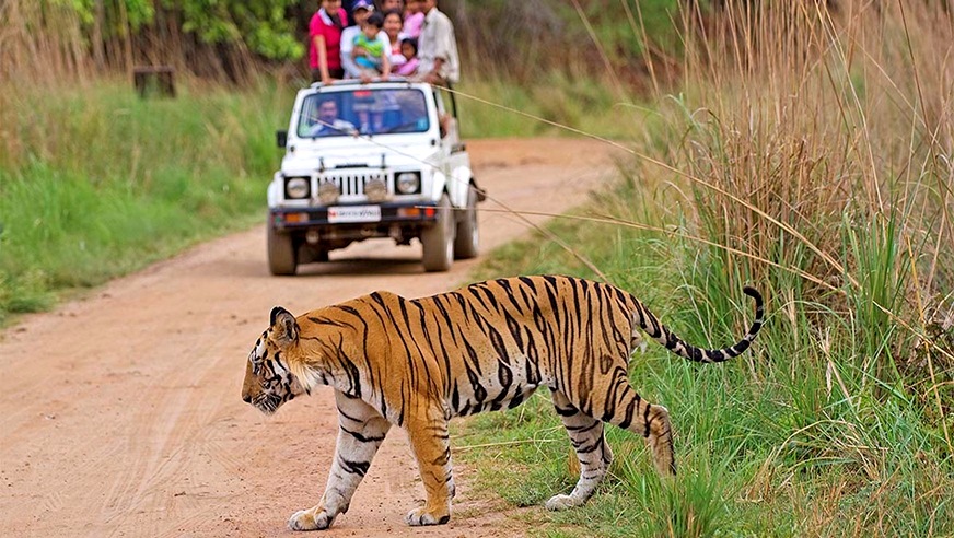 Rajasthan Wildlife Tour