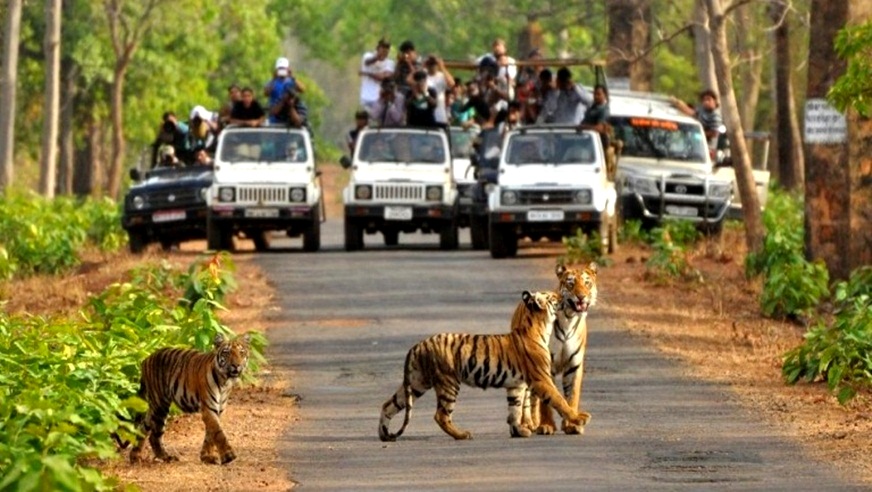 Jim Corbett Tour