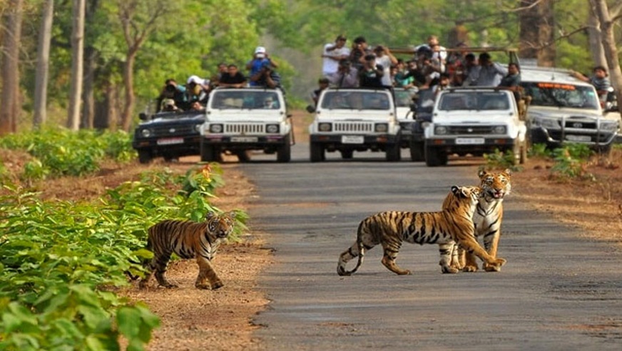 Rajaji Park Weekend Tour